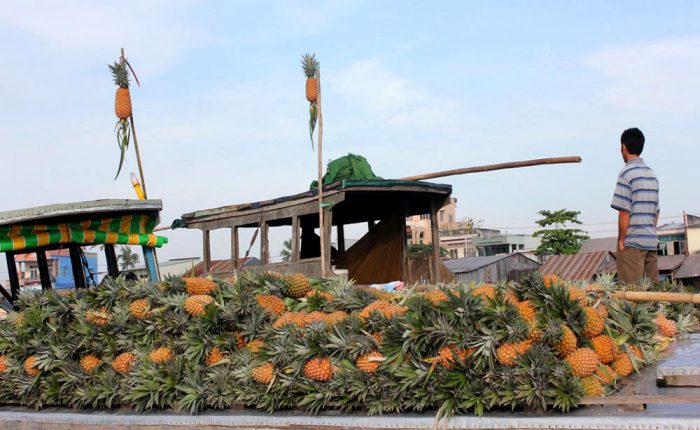 Pineapple Trading boat